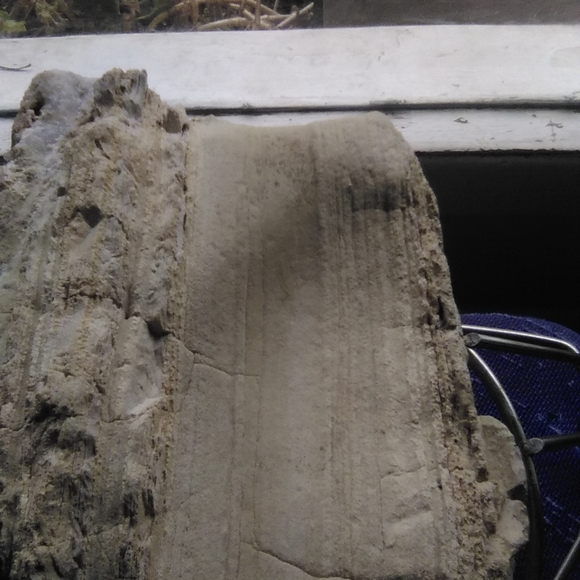 Petrified wood/ rocks - Picture 3 of 4